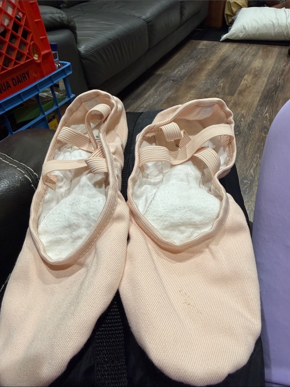Light Pink Ballet Slippers with Elastic Straps